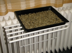 the dryer increases the upper surface of the radiator